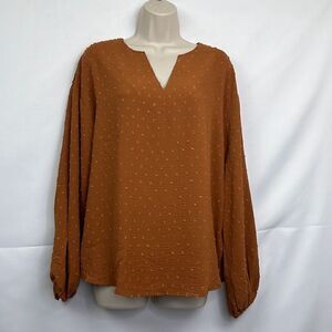 Elesol Pumpkin Spice VNeck long sleeve popover blouse NWT size medium